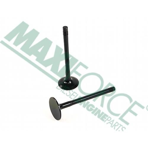 Exhaust Valve