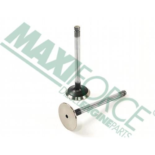 Exhaust Valve