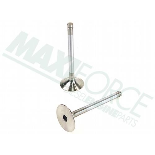 Intake Valve, 30 Degree