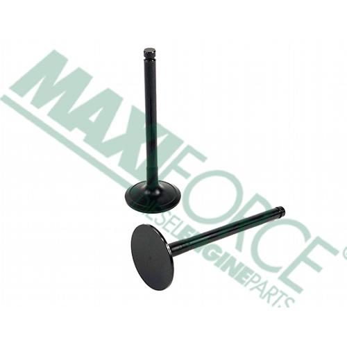 Intake Valve