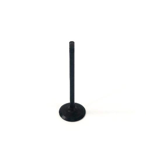 Intake Valve