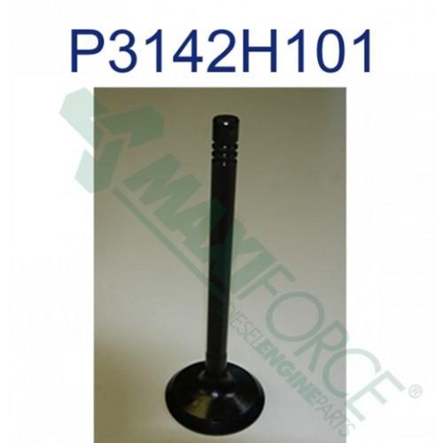 Intake Valve