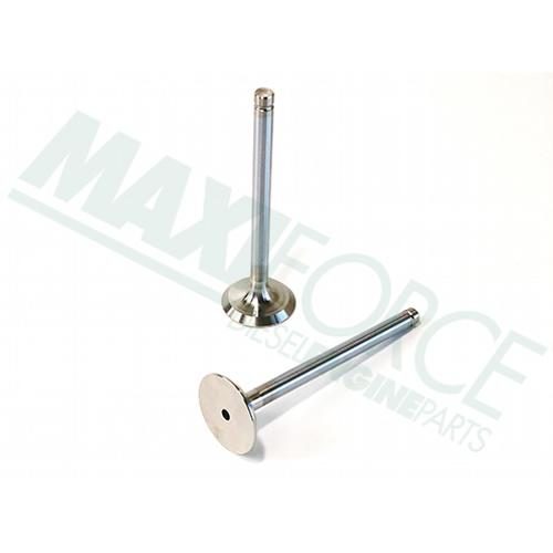 Exhaust Valve, 45 Degree