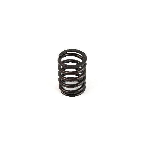 Valve Spring
