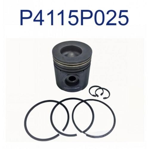 Piston &amp; Ring Kit