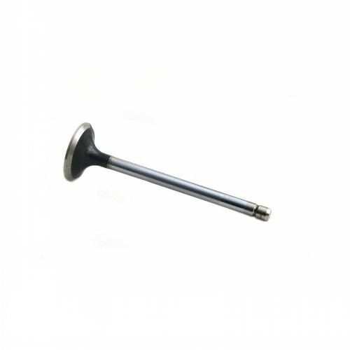 Exhaust Valve
