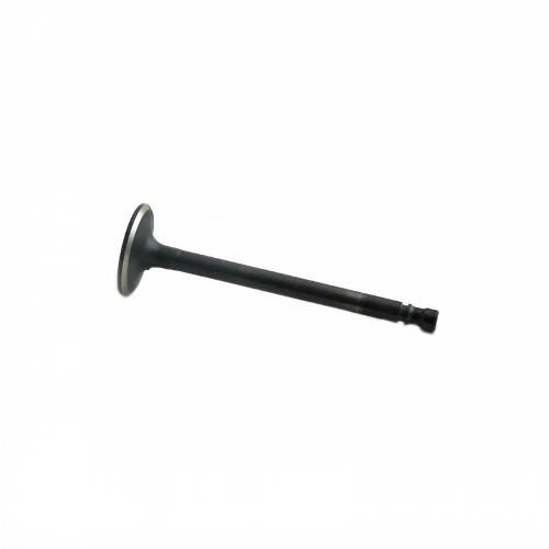 Intake Valve