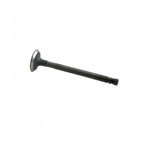 Exhaust Valve