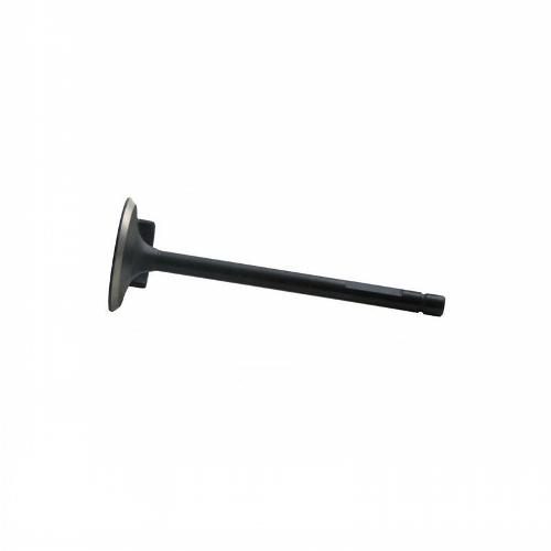 Intake Valve, with deflector