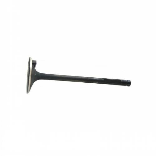 Intake Valve
