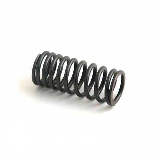 Intake Inner Valve Spring