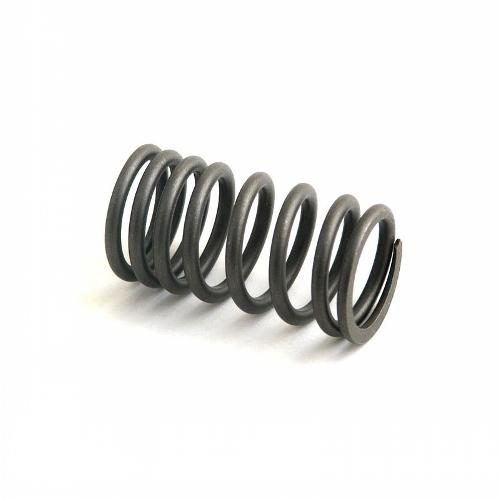 Valve Spring