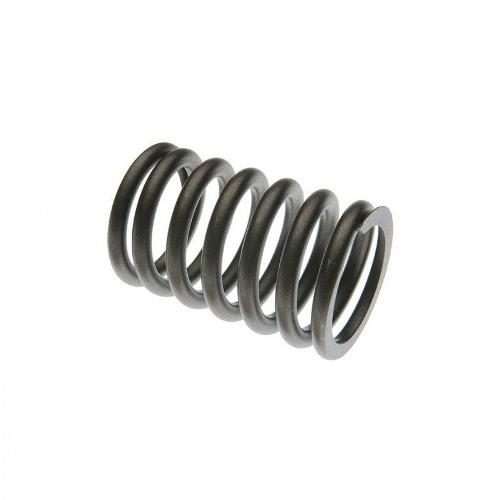 Valve Spring