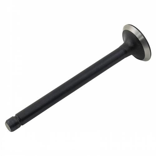 Exhaust Valve