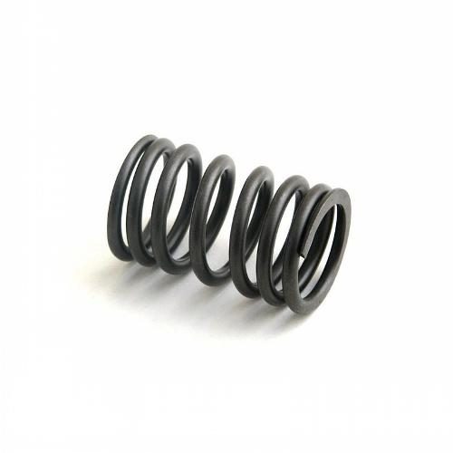 Exhaust Outer Valve Spring