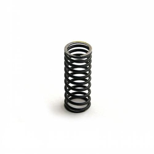 Inner Valve Spring