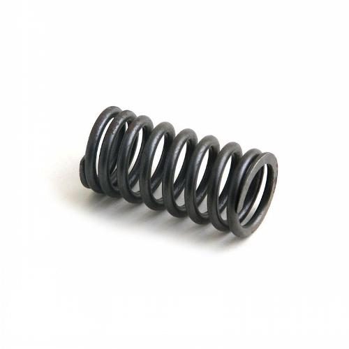 Valve Spring