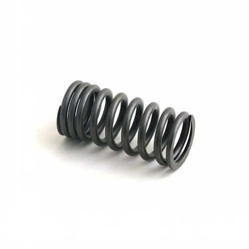 Exhaust Valve Spring