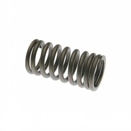 Intake Inner Valve Spring