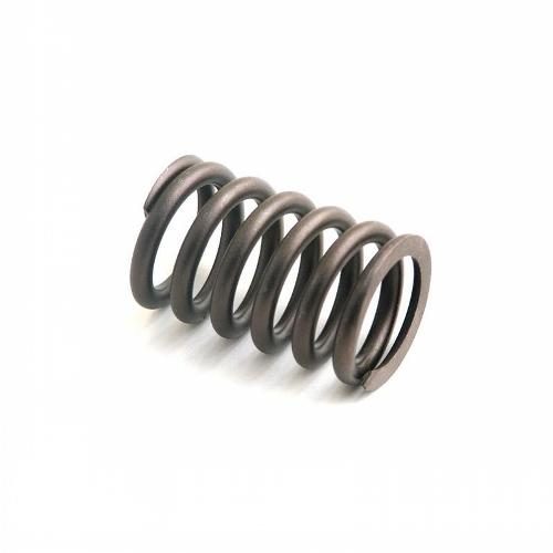 Valve Spring