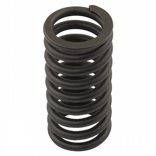Valve Spring
