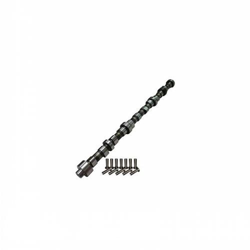 Camshaft &amp; Lifter Kit