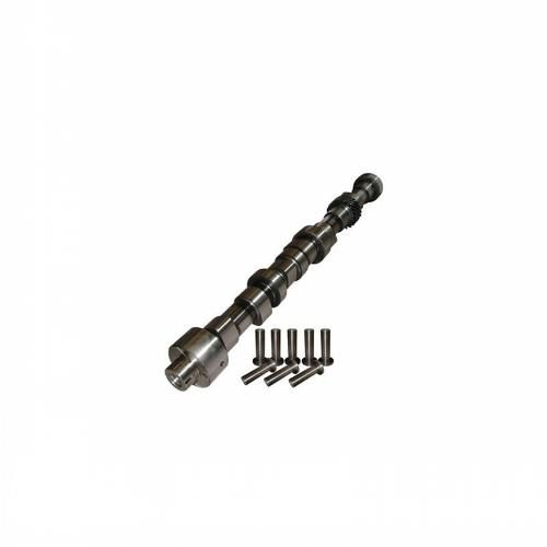 Camshaft &amp; Lifter Kit, w/ Oil Pump Drive Gear