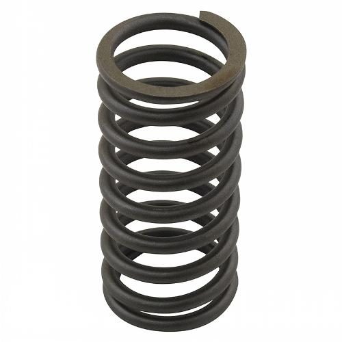 Valve Spring