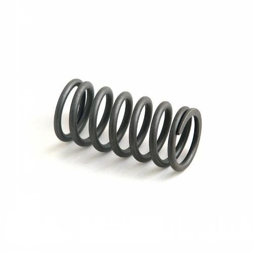 hcrnr49569_1_xl.jpg Inner Valve Spring