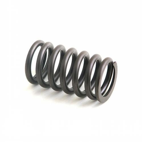 Valve Spring