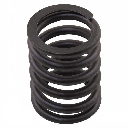 Valve Spring