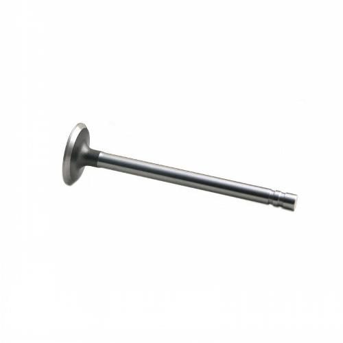 Intake Valve
