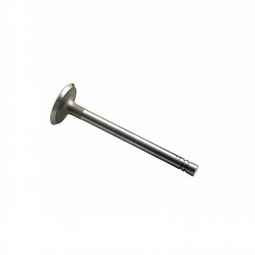 Oil Pump Spring