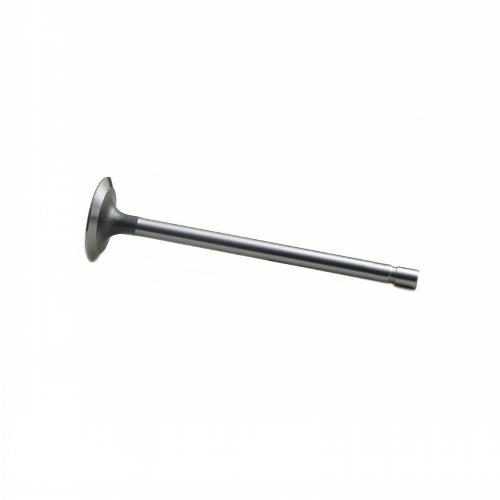 Intake Valve