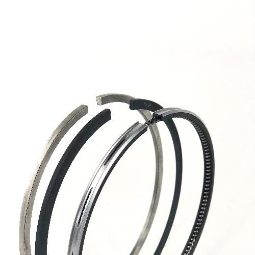 hctar41295_1_xl.jpg Piston Ring Set