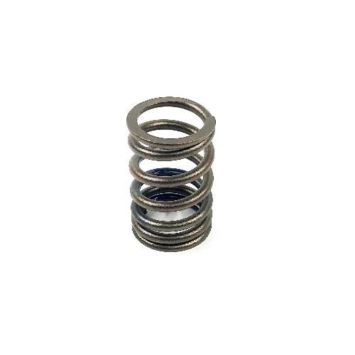 Valve Spring