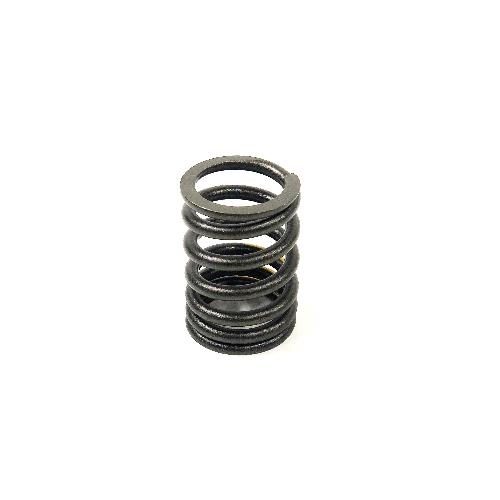Valve Spring