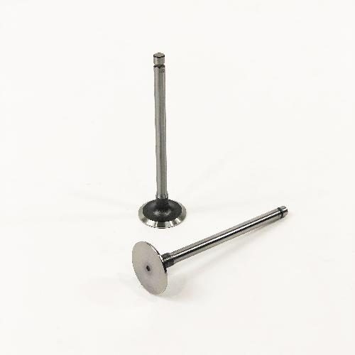 Intake Valve