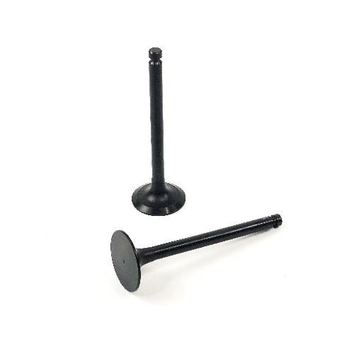 Intake Valve