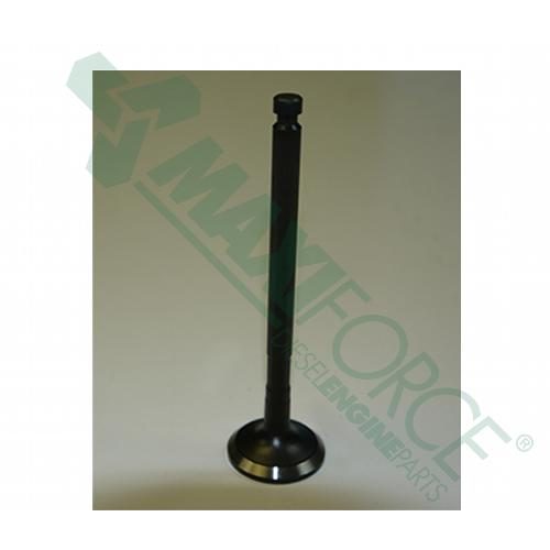 Intake Valve