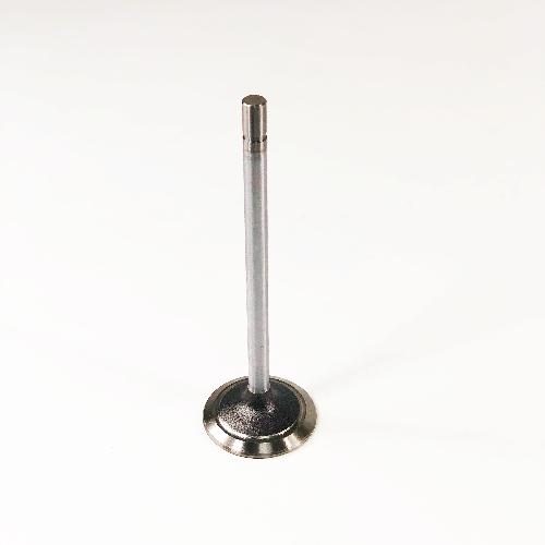 Intake Valve