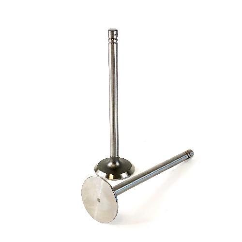 Intake Valve, Standard