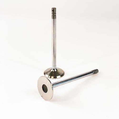 Intake Valve, Standard