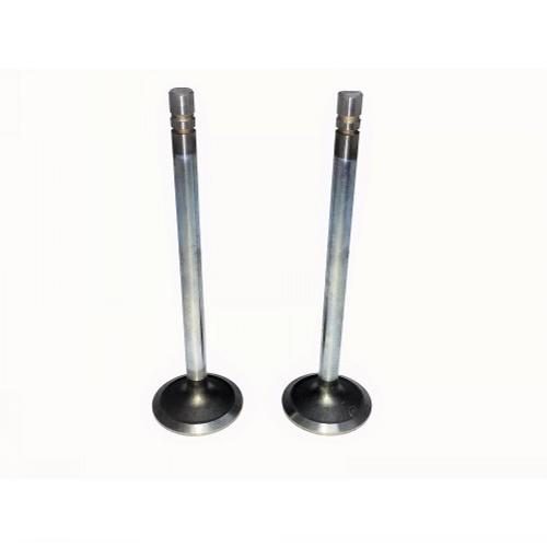 Intake Valve, Standard