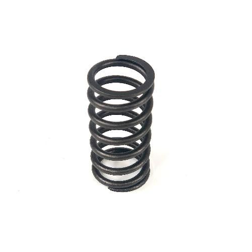 Inner Valve Spring