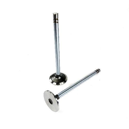 Intake Valve, Standard