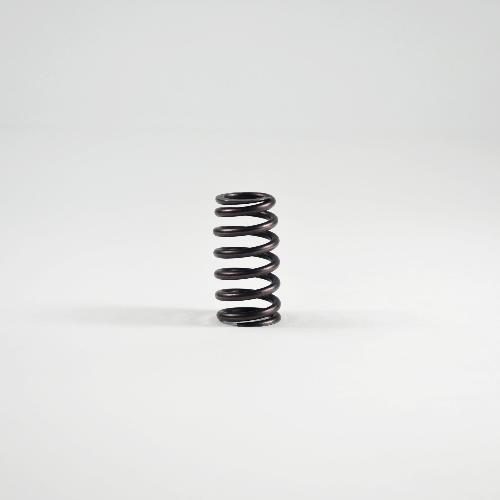 Valve Spring