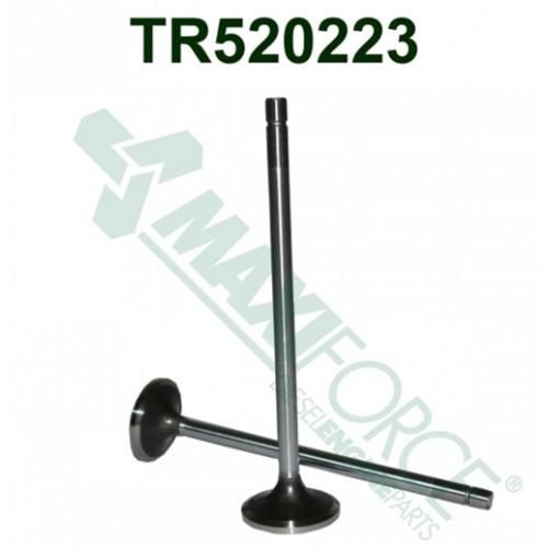 Intake Valve, 30 Degree