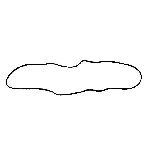 Rocker Cover Gasket