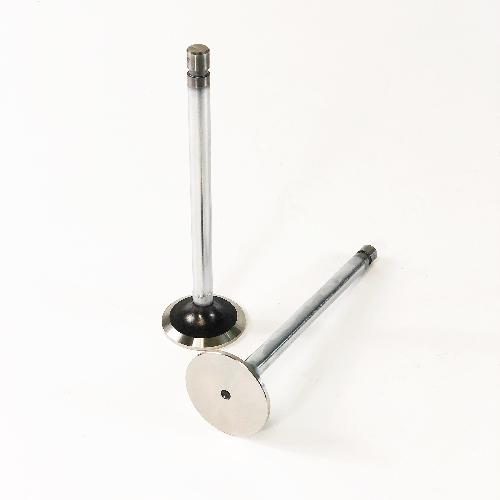 Exhaust Valve